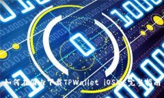如何在国内下载TPWallet i