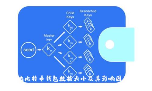本地比特币钱包数据大小及其影响因素分析