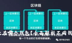 SHIB可以放在哪个钱包？全面解析不同钱包的优缺