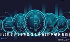 TPWallet总资产3.6万是什么币种？详细解析及投资指