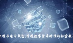 比特币电子钱包：掌握数