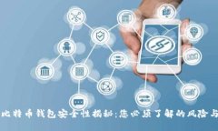 早期比特币钱包安全性揭